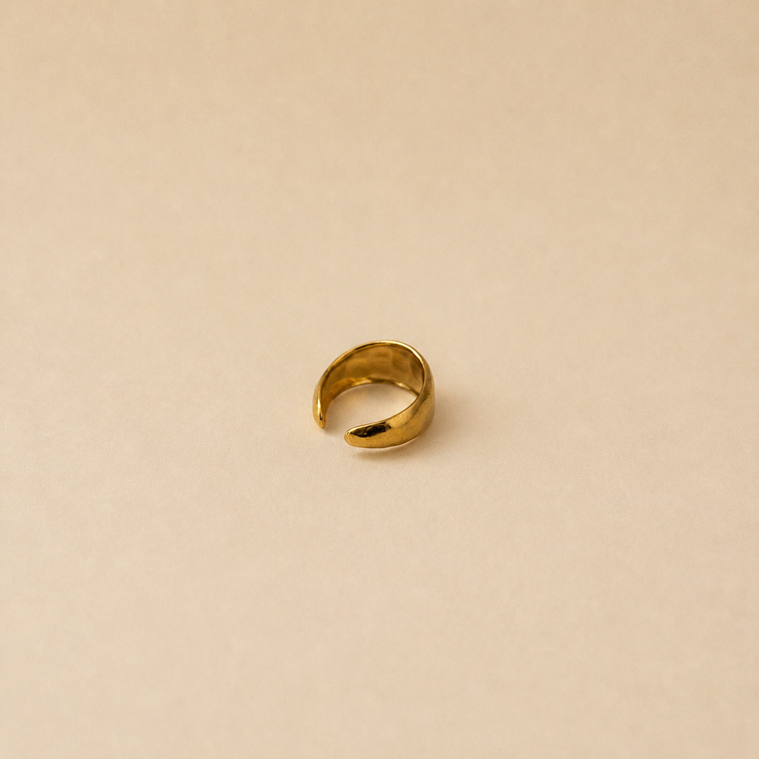 Gouden ring timeless achter